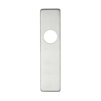 Cover plate for 19 mm RTD Lever on Short Backplate - Latch - 45mm x 180mm