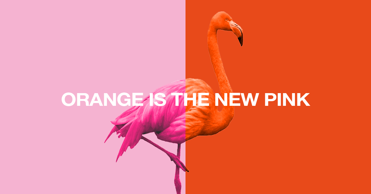 Orange is the new pink