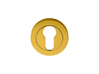 Escutcheon - Euro Profile On Concealed Fix Round Rose - Polished Brass