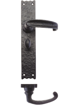 Traditional Lever on Bathroom Long Backplate - 10inch