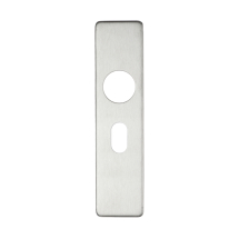 Cover plate for 19 mm RTD Lever on Short Backplate - Oval Profile 48.5mm - 45mm x 180mm
