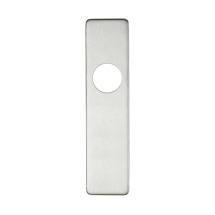 Cover plate for 19 mm RTD Lever on Short Backplate - Latch - 45mm x 180mm